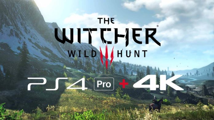 patch de The Witcher