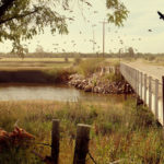 State of Decay 2 ganha mais um gameplay, desta vez em missão solo. State of Decay 2