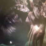 Fotos vazadas indicam novo jogo baseado na série Harry Potter, confira. Harry Potter, jogo, Fotos Vazadas,