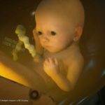 Death Stranding: Edição de Colecionador terá capsula de bebê em tamanho real.