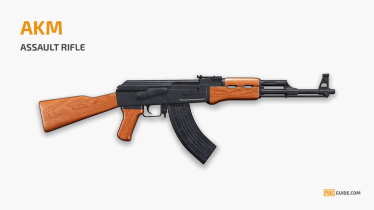 Pubg AKM